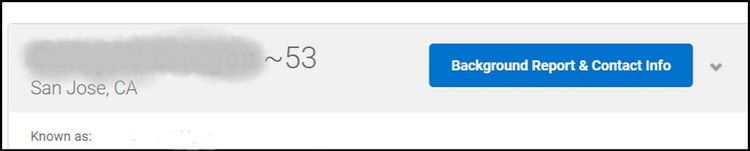 Screen shot of Radaris profile box.