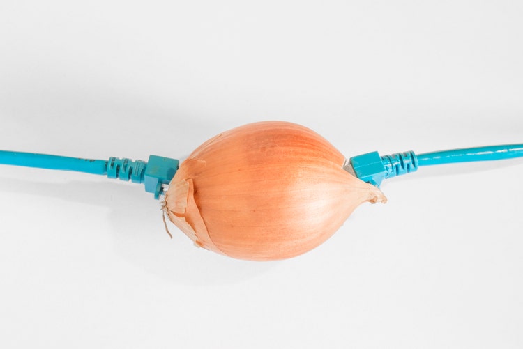 Onion with connected network cable