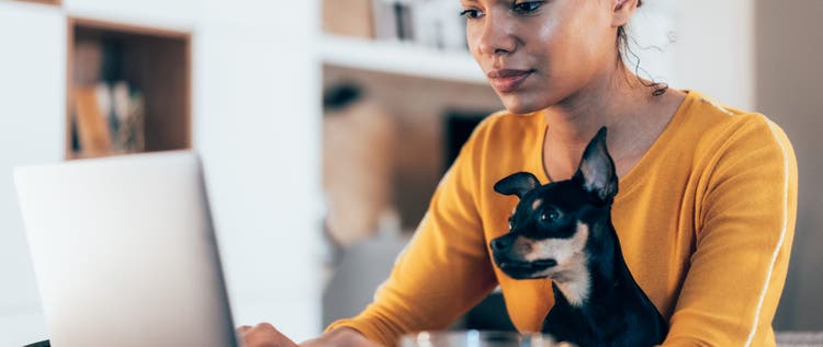 Young afro-american woman sitting with her pet dog and using laptop at home